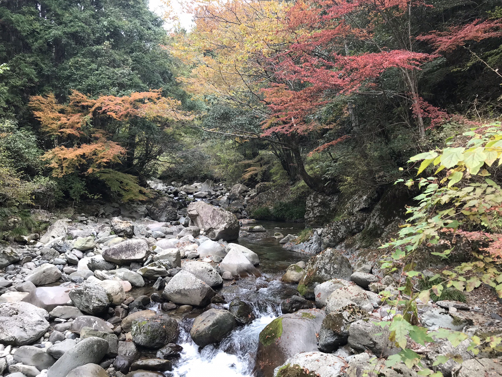 木谷峡 散策 2019 11 10 ターボさんの水ノ尾山の活動データ Yamap ヤマップ
