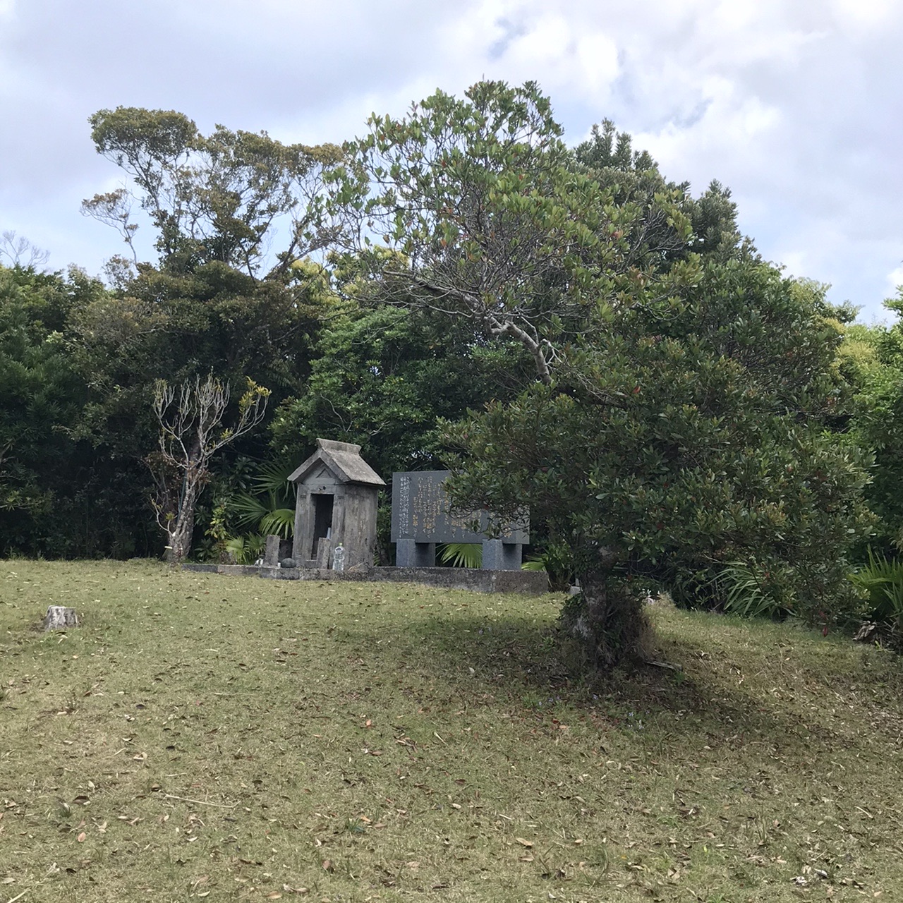 加計呂麻島サイクリング やまねこさんの奄美大島 南部の活動データ Yamap ヤマップ