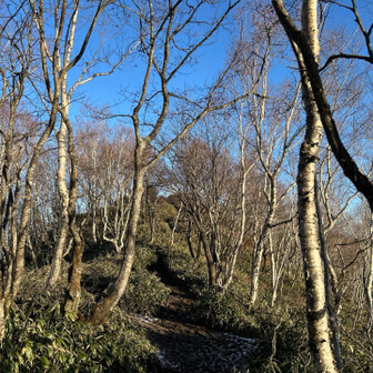 てくてく進みます😀