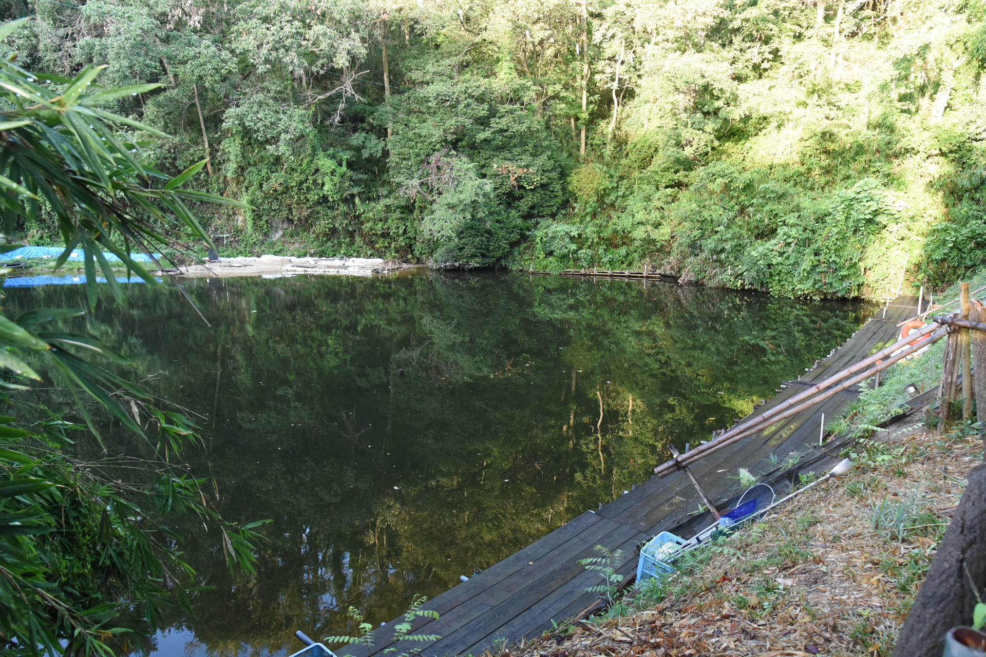 交野山・国見山 ヘラブナ釣りでにぎわう野池。
この時は釣り人はいませんでした。