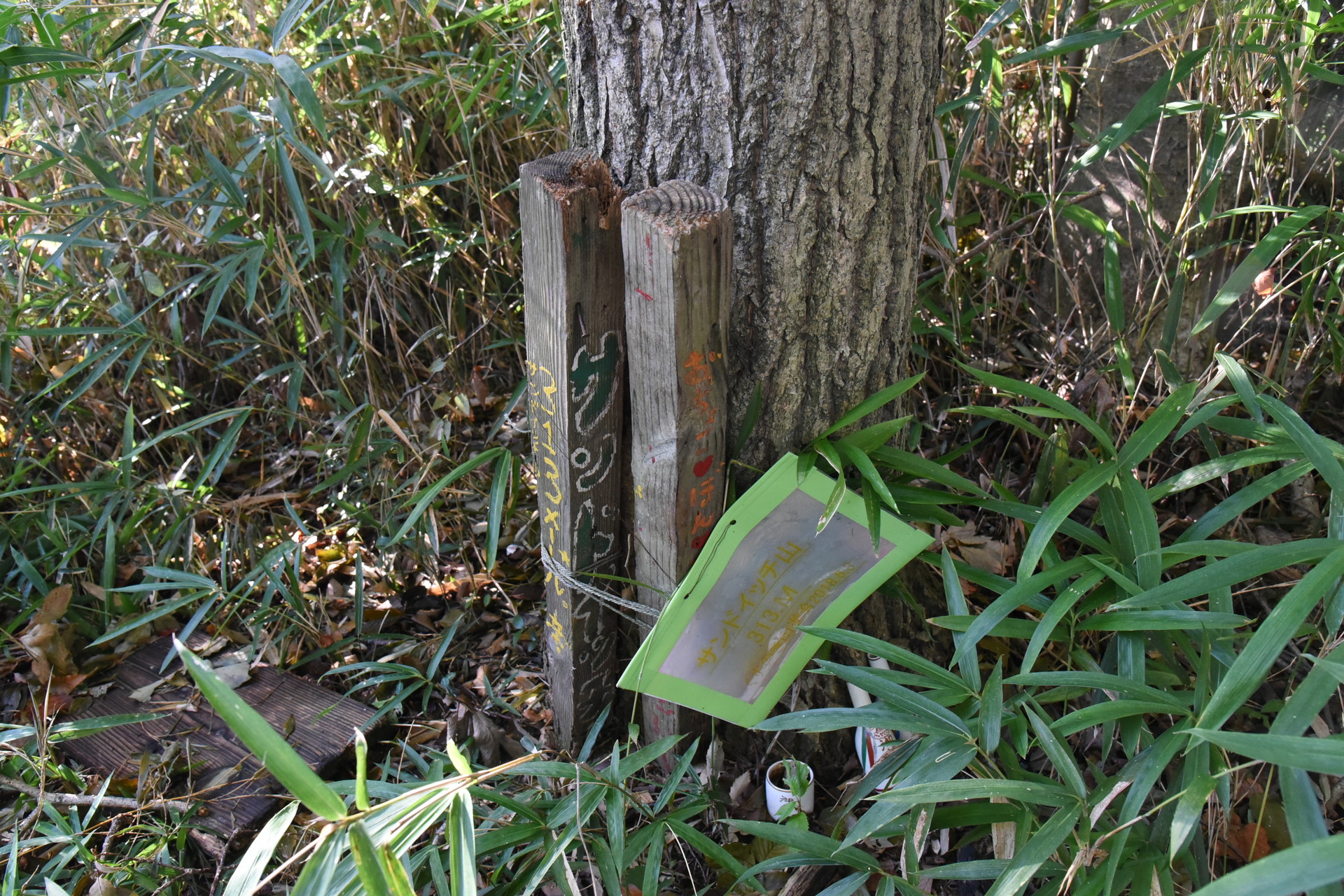 交野山・国見山 標高３１３ｍのサンドイッチ山山頂。
眺望・ピーク感はナシです。