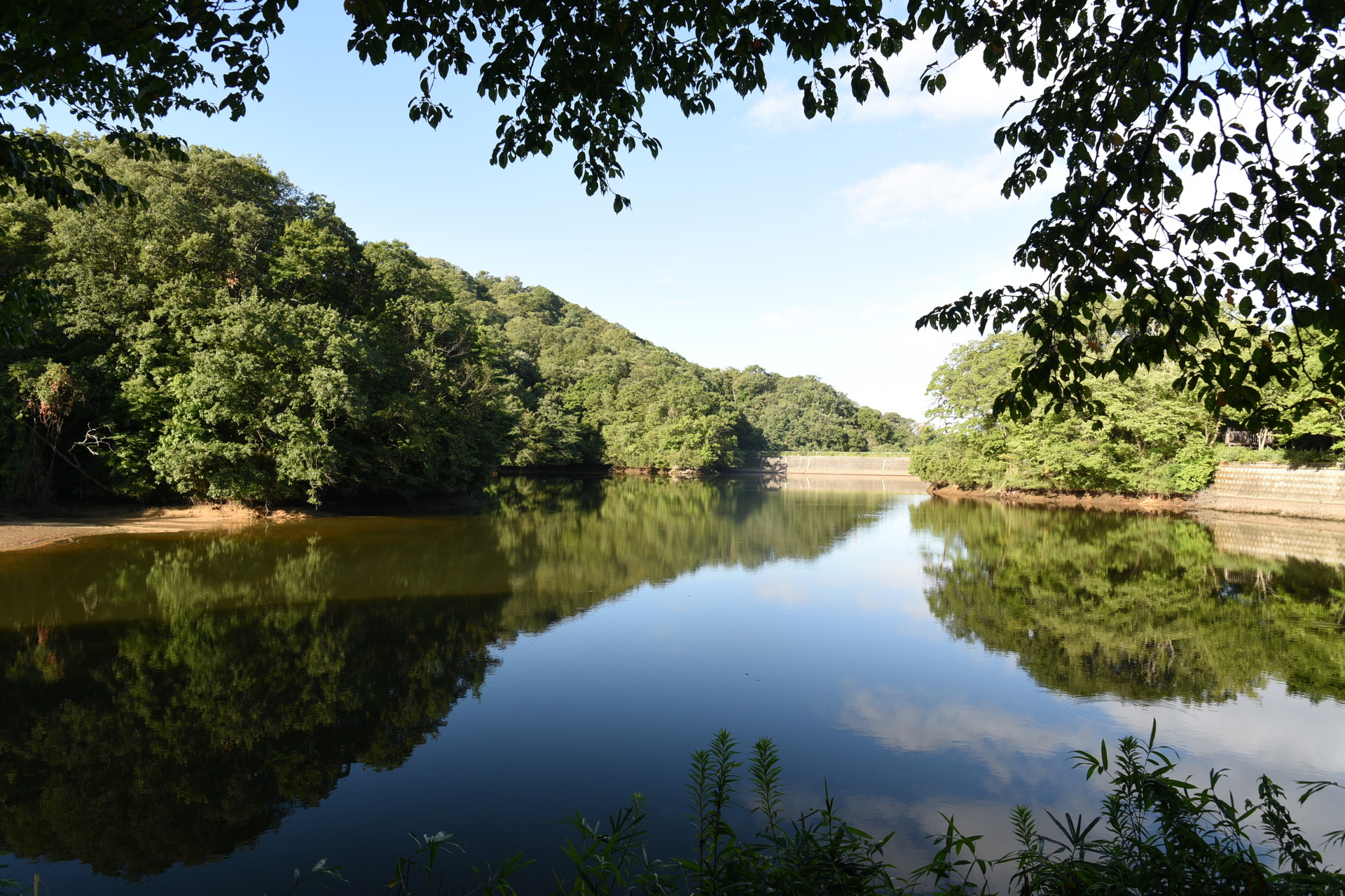 交野山・国見山 白旗池