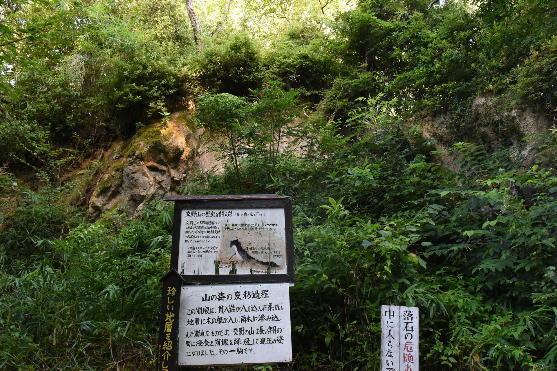 交野山・国見山 気の遠くなるような時間によって、
今があります（あるようです）。