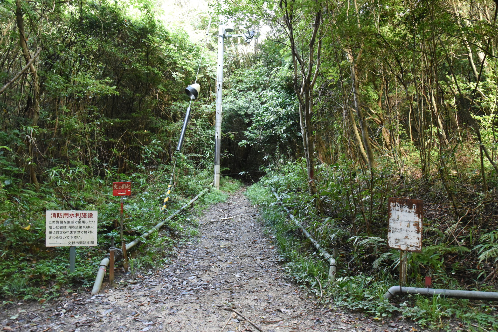 交野山・国見山 旗振山への入口です。
ここからが蜘蛛の巣がヒドかった...