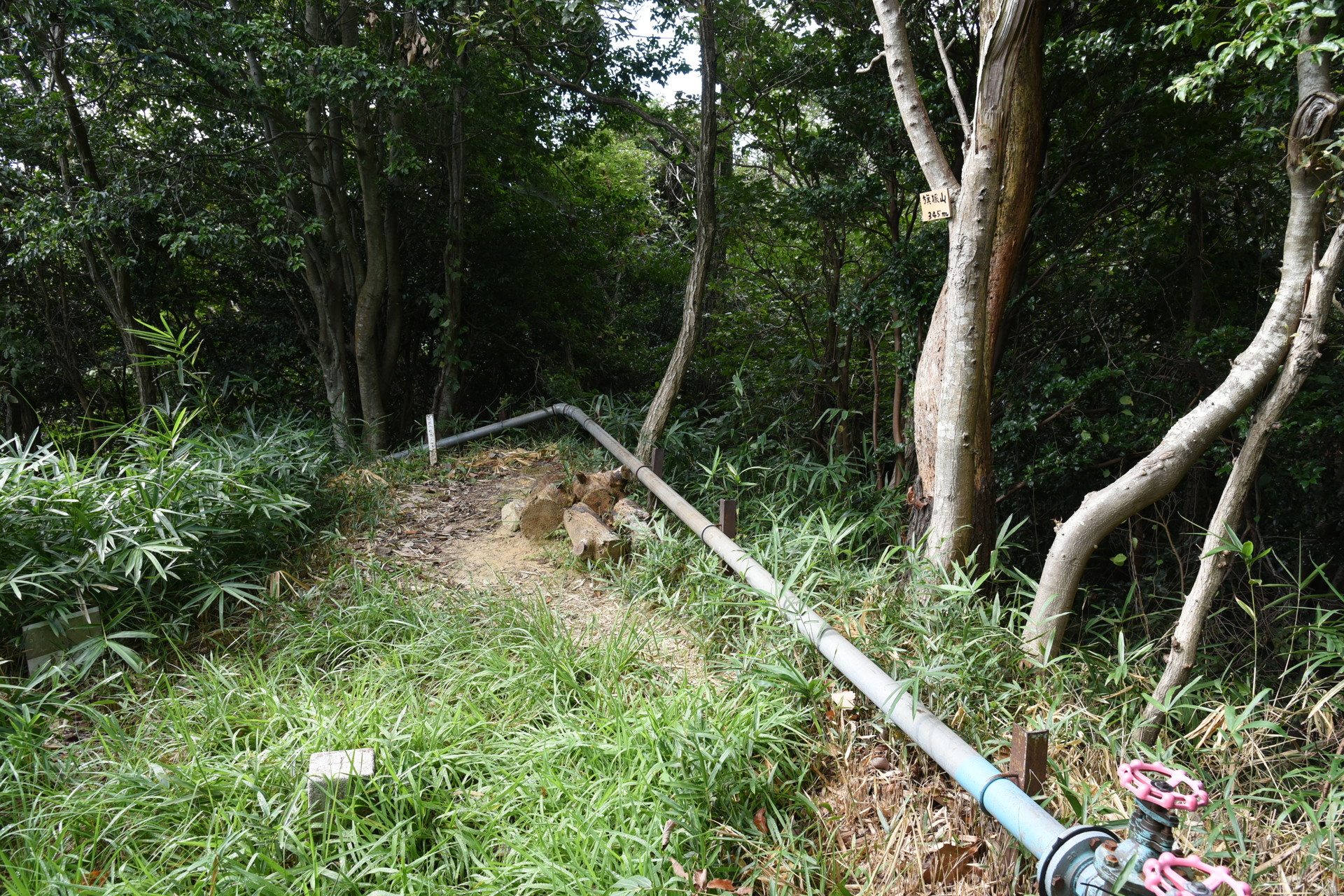 交野山・国見山 旗振山山頂。交野市では最も高い345m。
