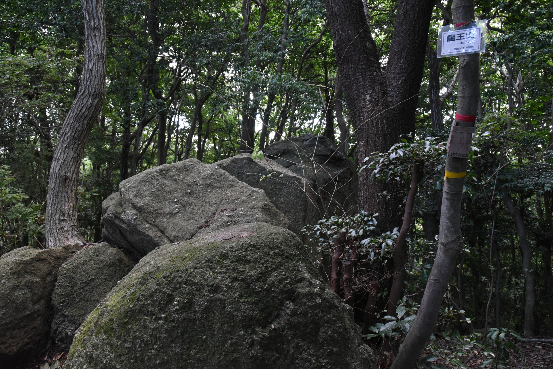 交野山・国見山 龍王山の山頂。岩がいくつも重なっていて、
看板がなければ普通に通過してしまいそうな感じです。