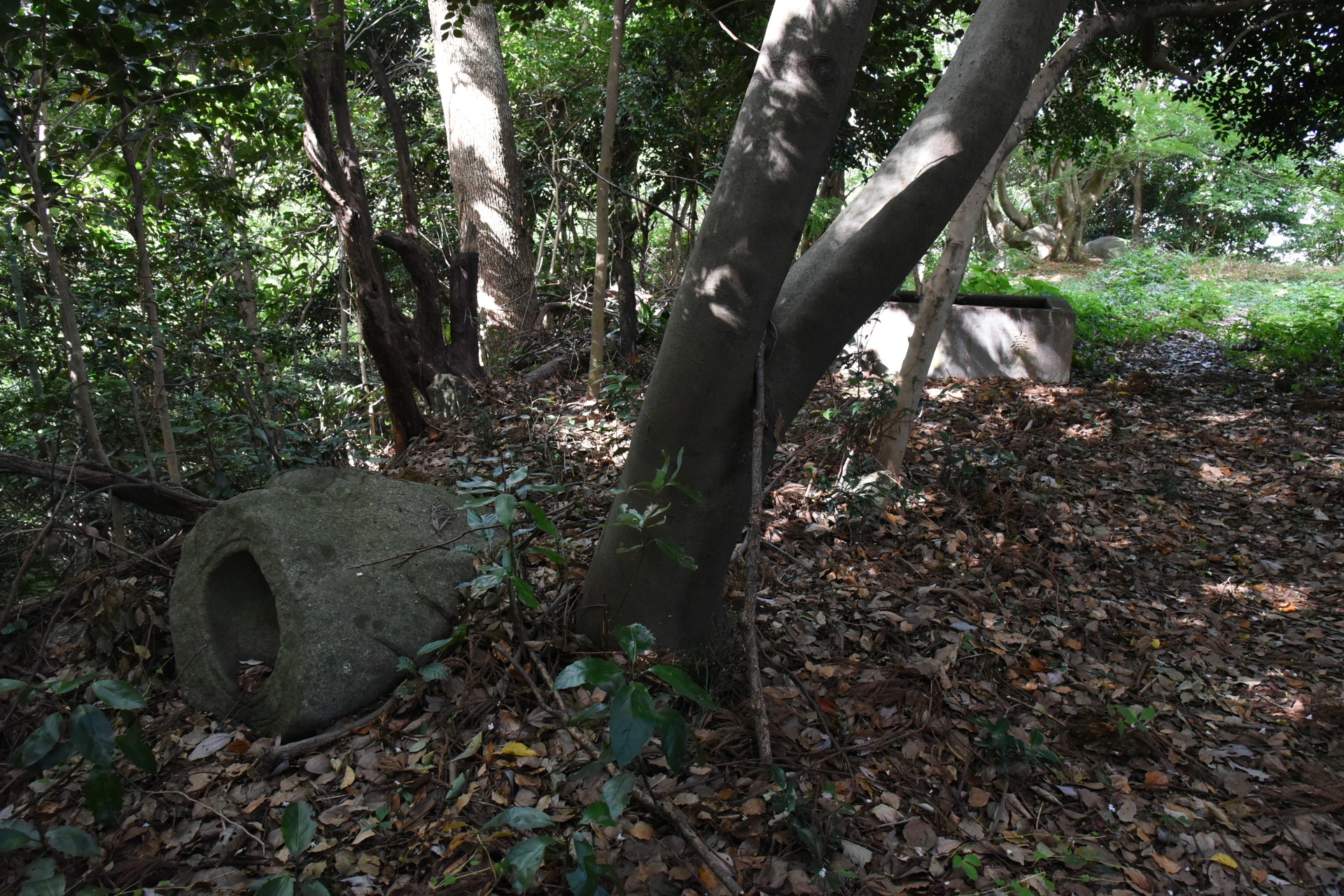 交野山・国見山 倒れた手水鉢などがありました。
いつ頃まで、栄えていたのかな...