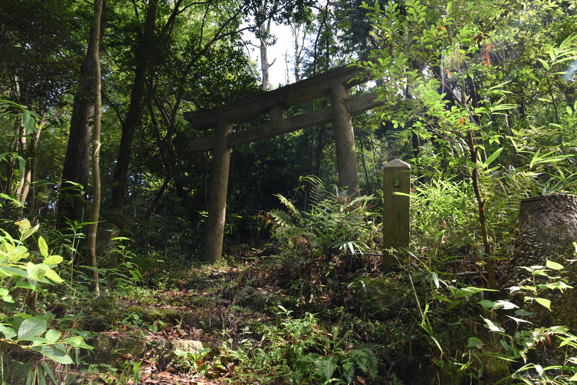 交野山・国見山 かいがけの道との合流点の鳥居。