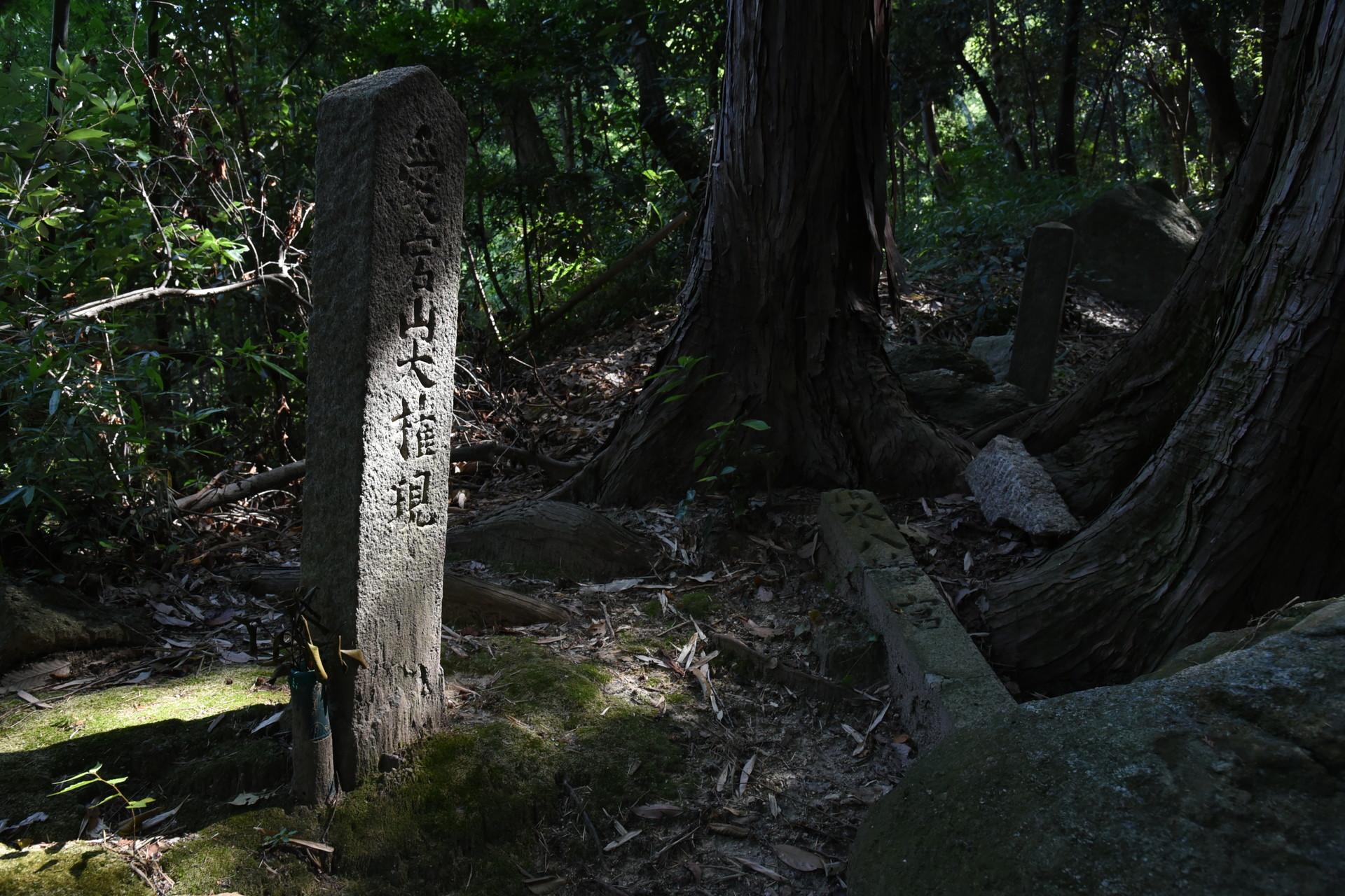 交野山・国見山 道脇の伏拝。
石清水八幡宮のはこないだの地震で倒れてしまったようです。