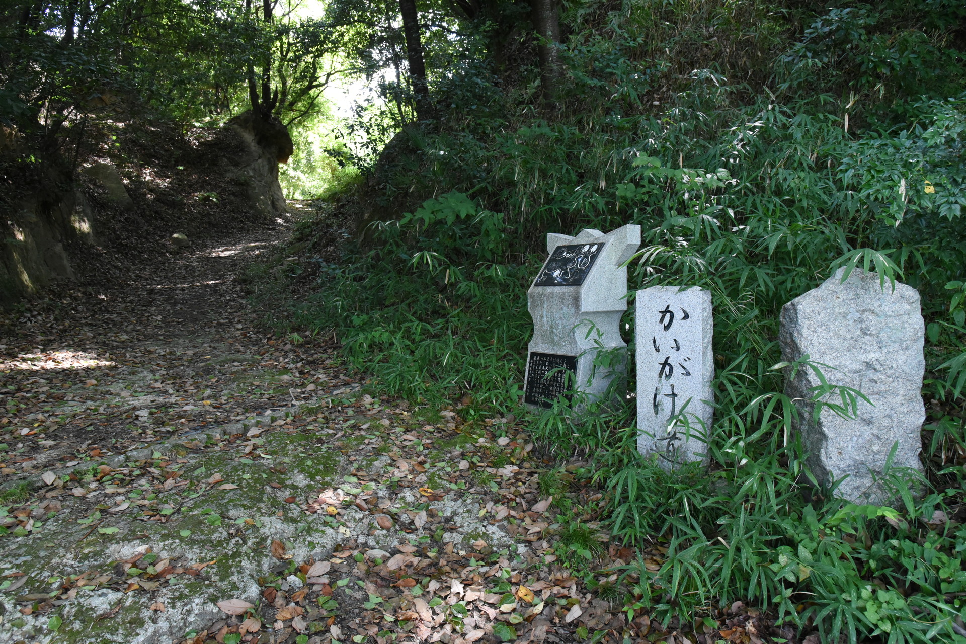 交野山・国見山 かいがけの道（峡崖の道）入口でしょうか。

