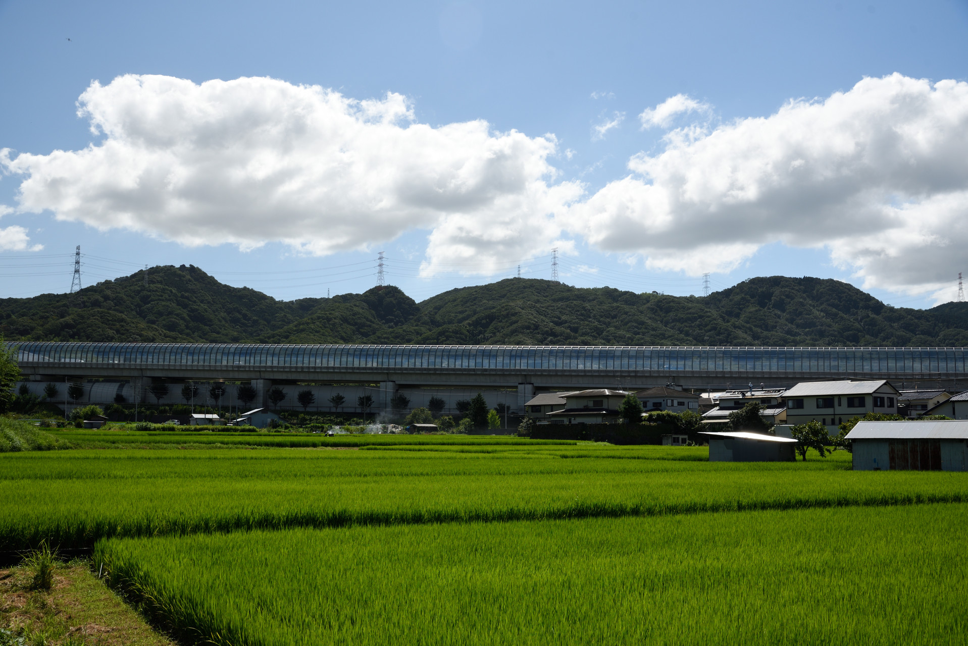 交野山・国見山 左から、交野山、小さなピークの隣が旗振山、その右が龍王山です。