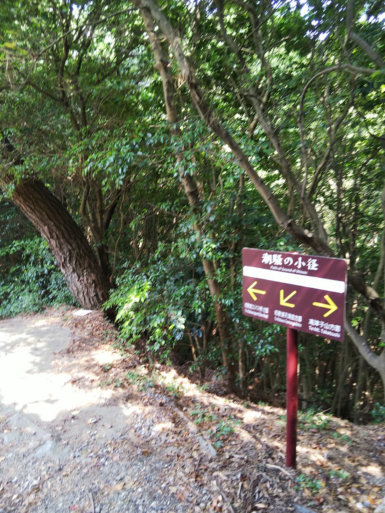 和歌浦 潮騒の小径 高津子山展望台 和歌浦天満宮 紀州東照宮 きっしゃんさんの和歌山市の活動日記 Yamap ヤマップ