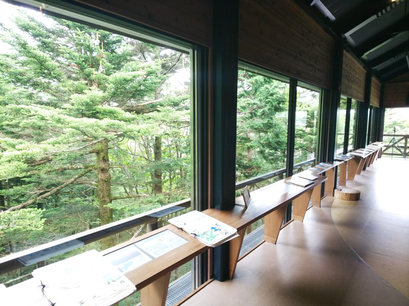 大台ヶ原 奈良県上北山村