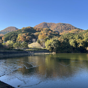 帰りの池からの二上山