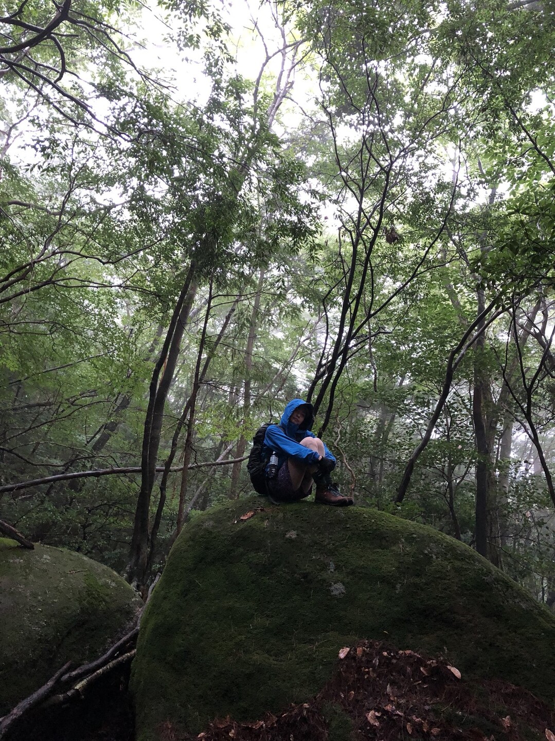 8月19日 大崩山 三里河原 Mikkoさんの大崩山 五葉岳 新百姓山の活動日記 Yamap ヤマップ