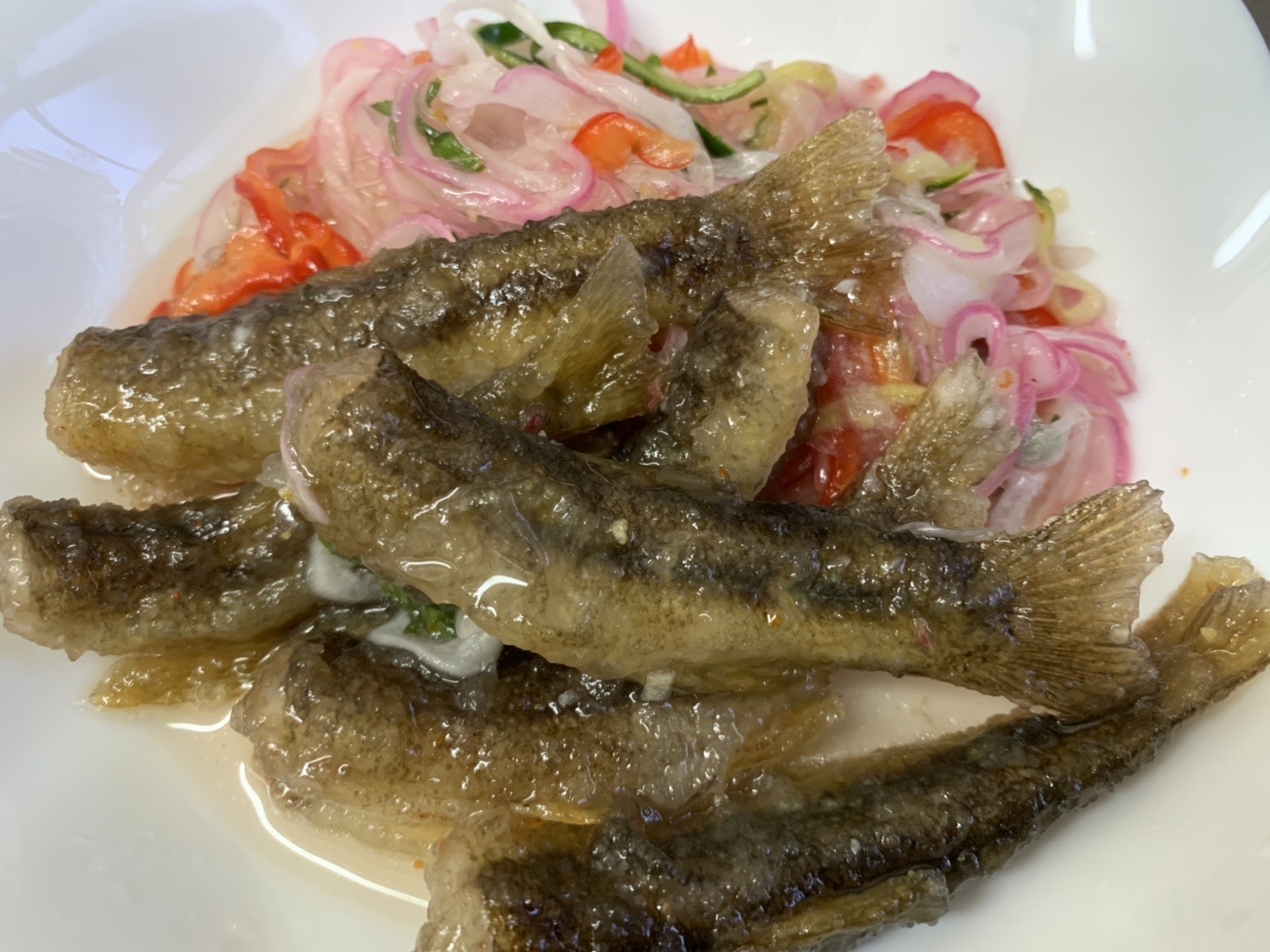 槇谷川の渓魚と遊ぶ Soraさんの八ヶ峰の活動日記 Yamap ヤマップ