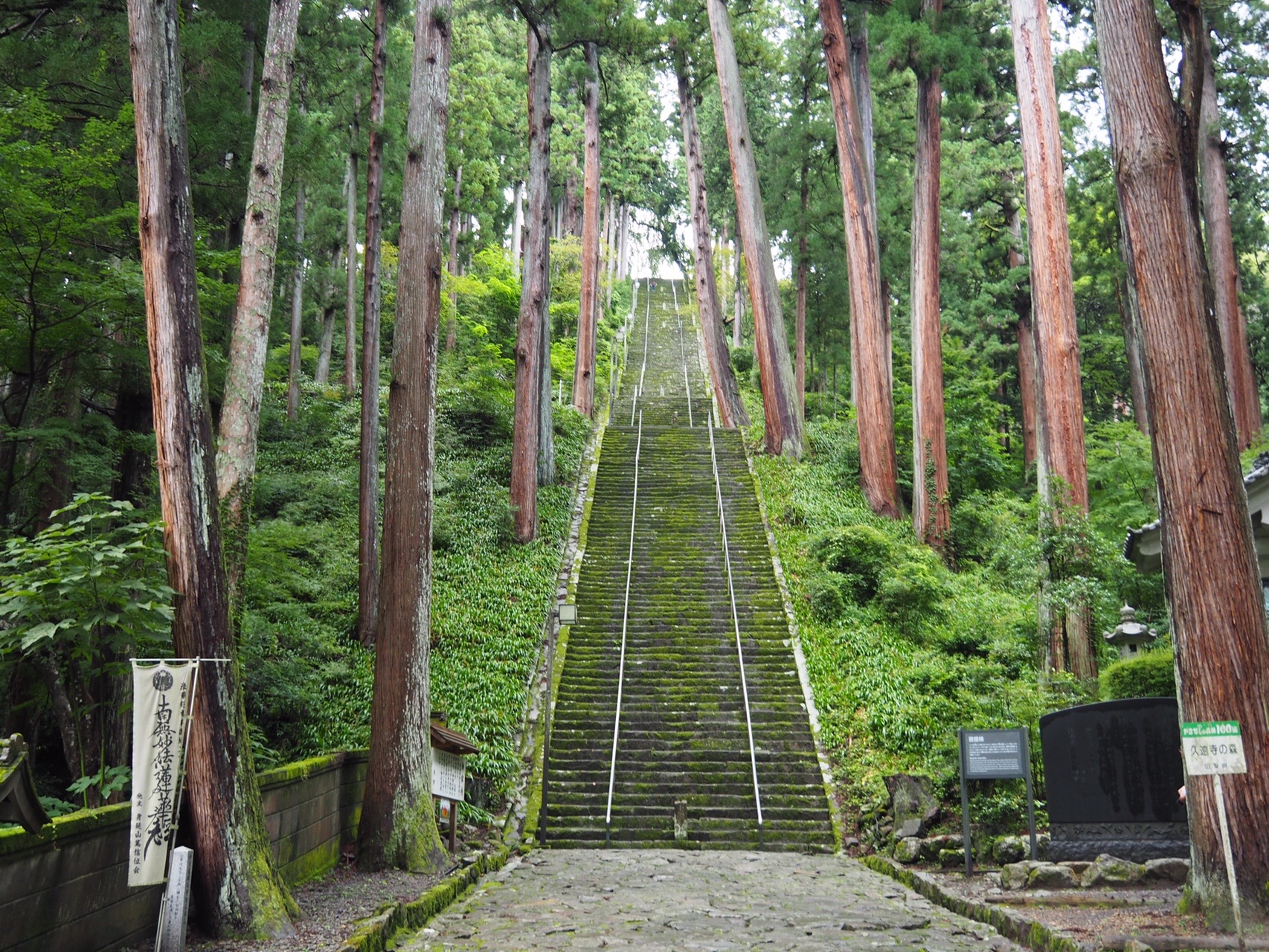 身延山 Yamap富嶽三十六景ハイキング なーたんさんの七面山 身延山の活動データ Yamap ヤマップ