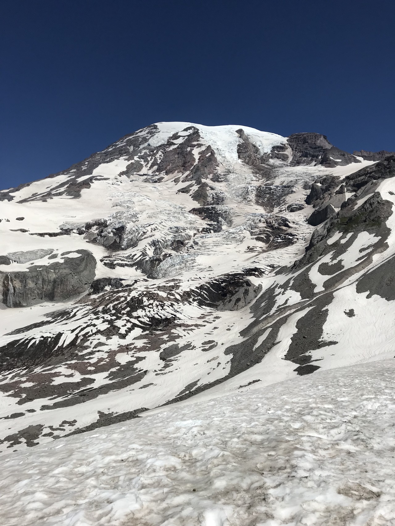 マウントレニエ国立公園 レーニア山スカイラインループ ずおずおむさんのマウントレーニア国立公園の活動データ Yamap ヤマップ