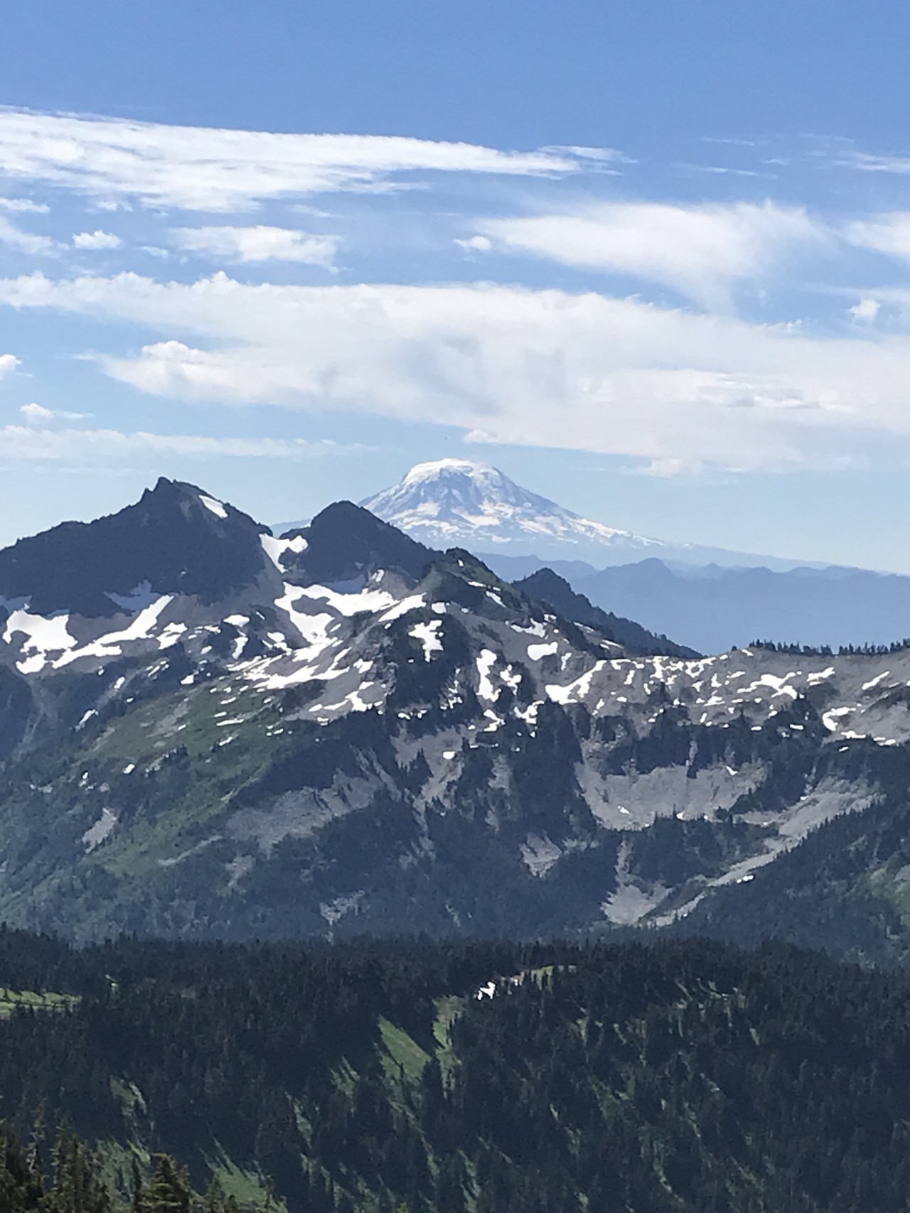 マウントレニエ国立公園 レーニア山スカイラインループ ずおずおむさんのマウントレーニア国立公園の活動日記 Yamap ヤマップ