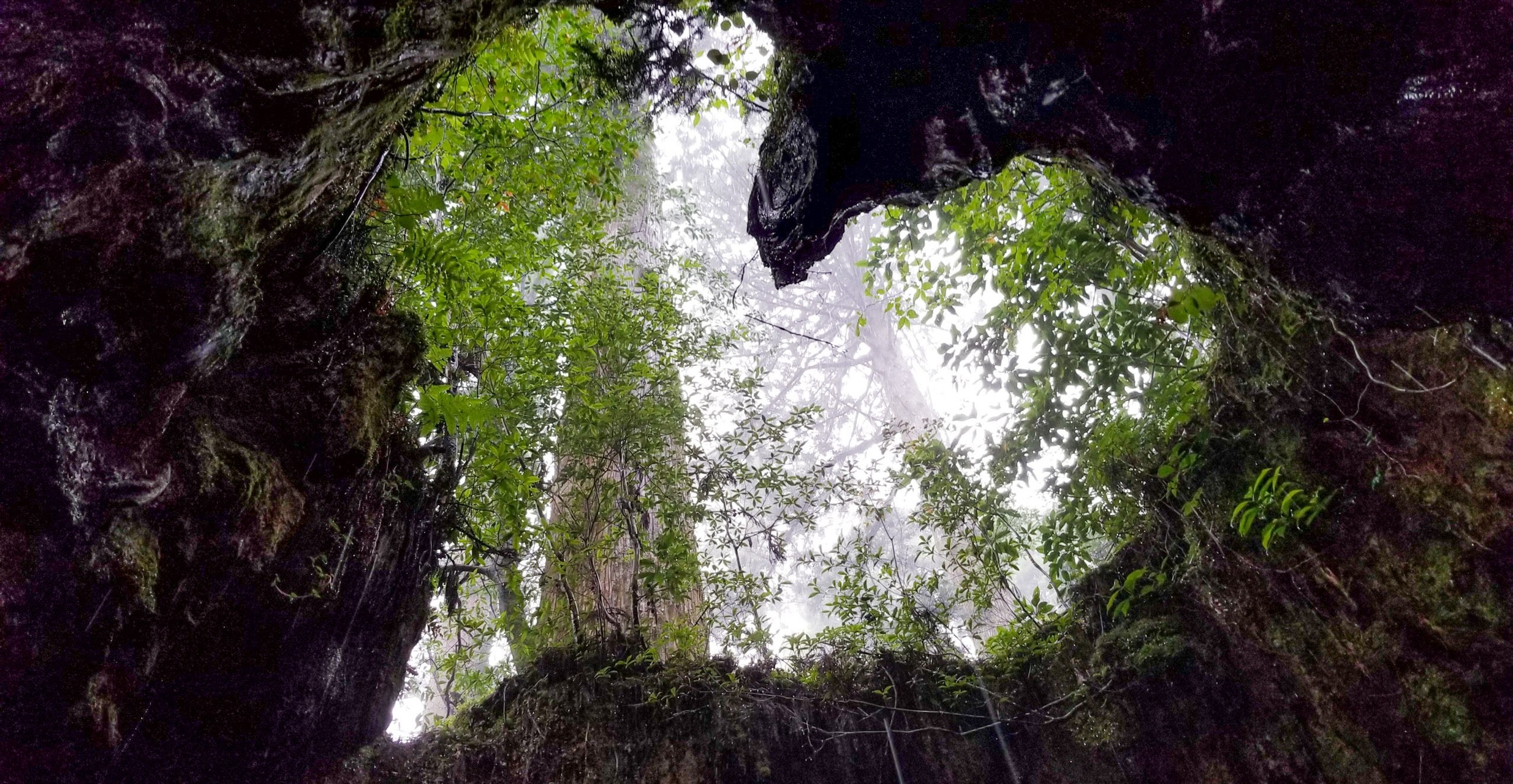 九州遠征 第３弾は屋久島 宮之浦岳1day縦走 ちかとさんの屋久島 宮之浦岳の活動日記 Yamap ヤマップ