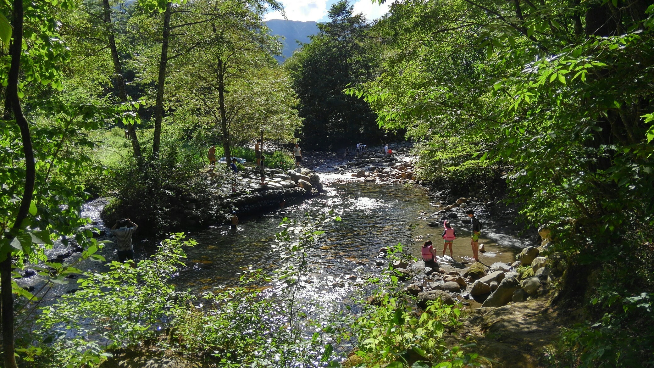 烏川渓谷緑地 305さんの松本市の活動日記 Yamap ヤマップ