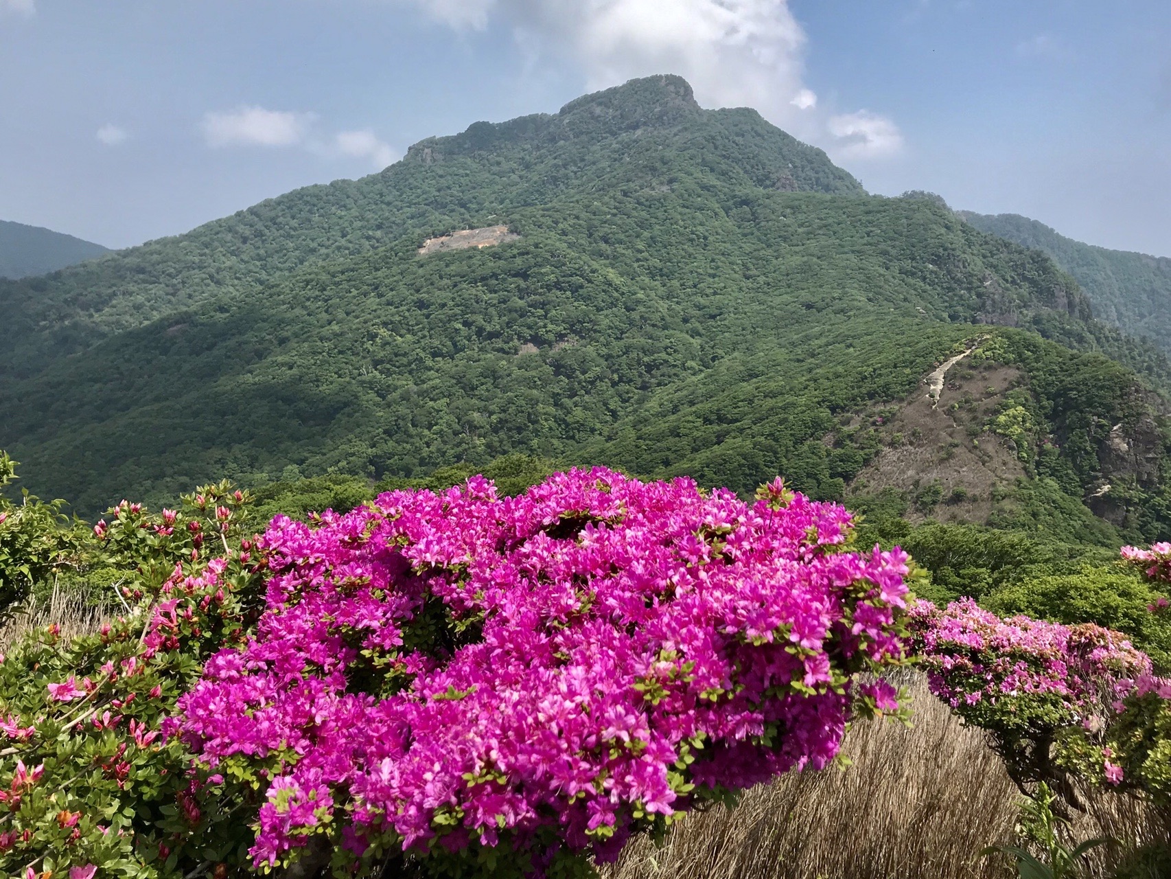 祖母山周回チカレタぴー あきあき N H ﾔｧｰｯﾎｫｰさんの祖母山の活動データ Yamap ヤマップ