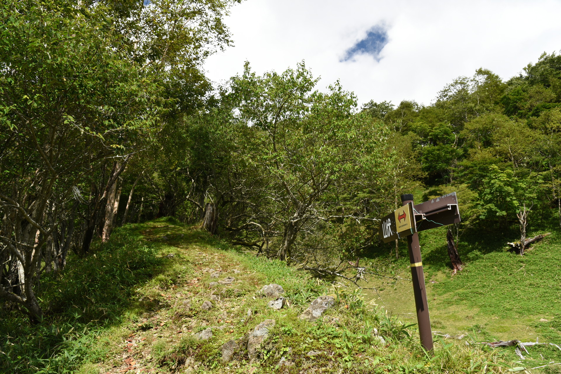 山伏・八紘嶺・笹山 梅ヶ島方面からの分岐？