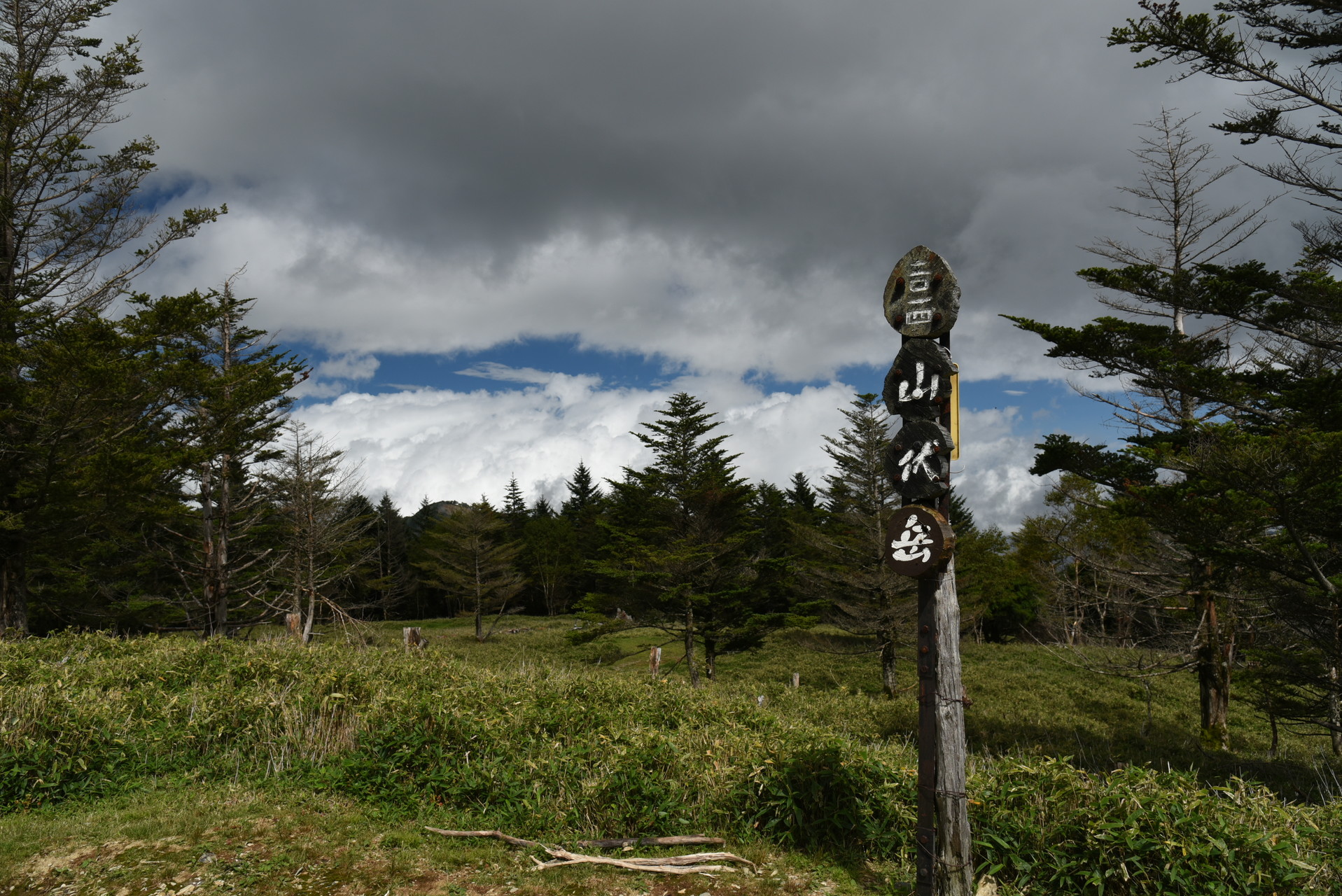 山伏・八紘嶺・笹山 山伏山頂から。