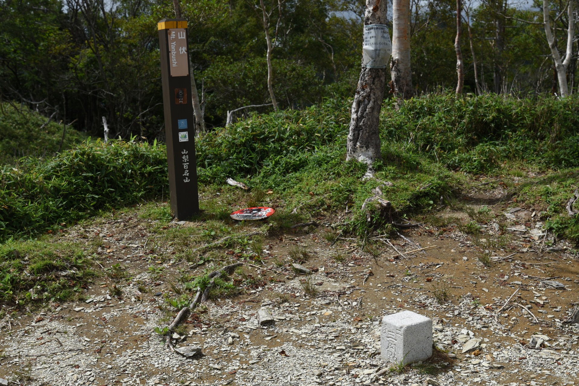 山伏・八紘嶺・笹山 山頂には二等三角点がありました。