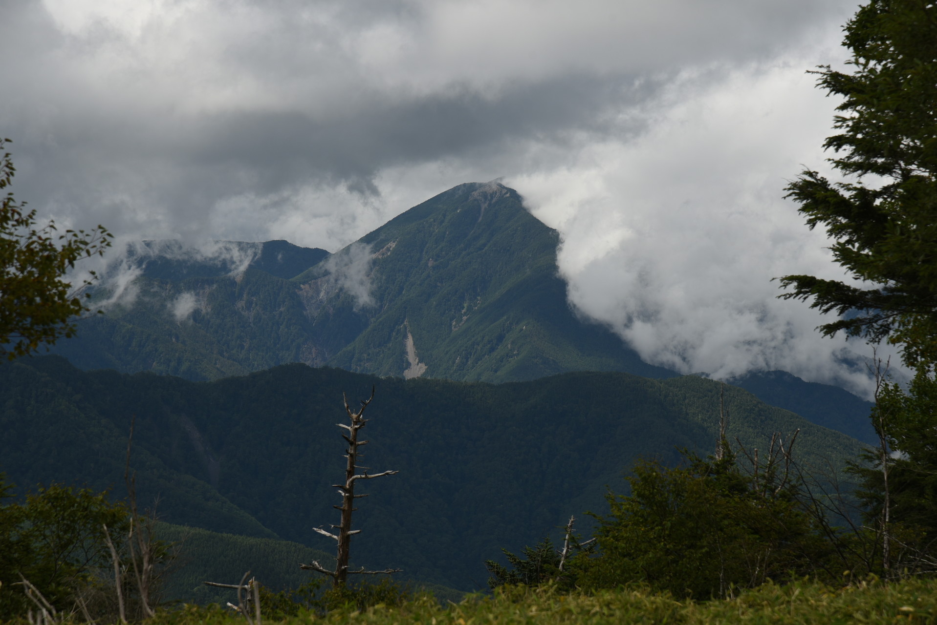 山伏・八紘嶺・笹山 青笹山（2208m）？の山頂が一瞬ですが見えました。