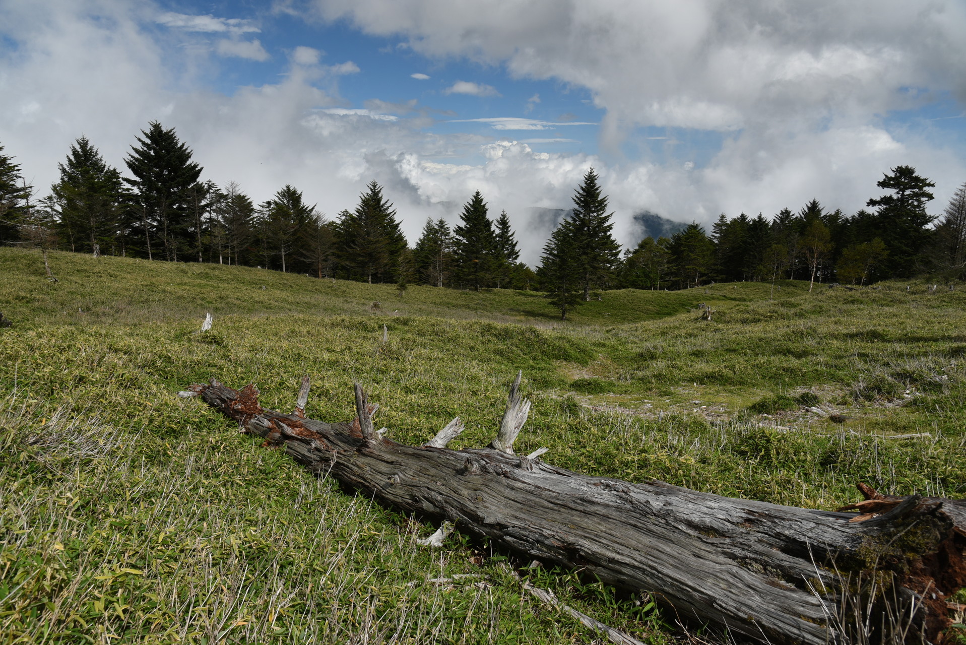 山伏・八紘嶺・笹山 笹原は、やはり見晴らしがいいです！