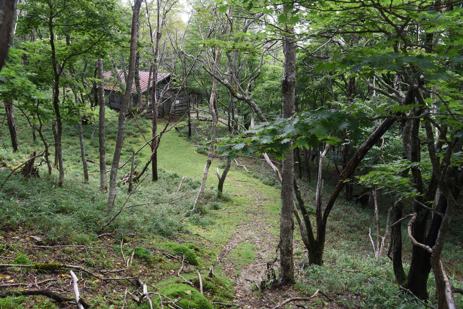 山伏・八紘嶺・笹山 山頂側から山伏小屋へのアプローチ