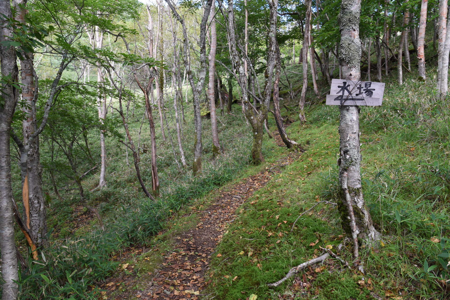 山伏・八紘嶺・笹山 古～い古い「山と高原地図」にはない、
水場の表示