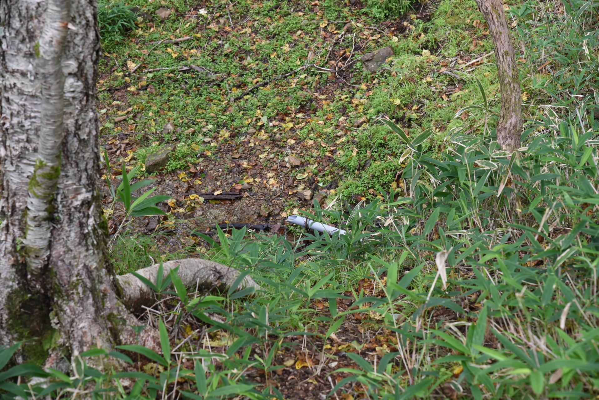 山伏・八紘嶺・笹山 ちょっと下って水が汲めるようです。