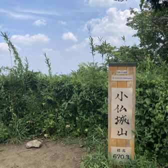 階段が苦手なので、辛かったです。階段を迂回するルートもあったので下調べ不足でした。