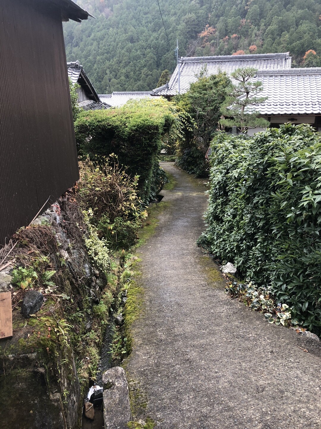 愛宕神社 水尾 柚子風呂 鶏鍋水炊き 19 12 8 愛宕山 三頭山 朝日峯の写真12枚目 水尾の風景 Yamap ヤマップ