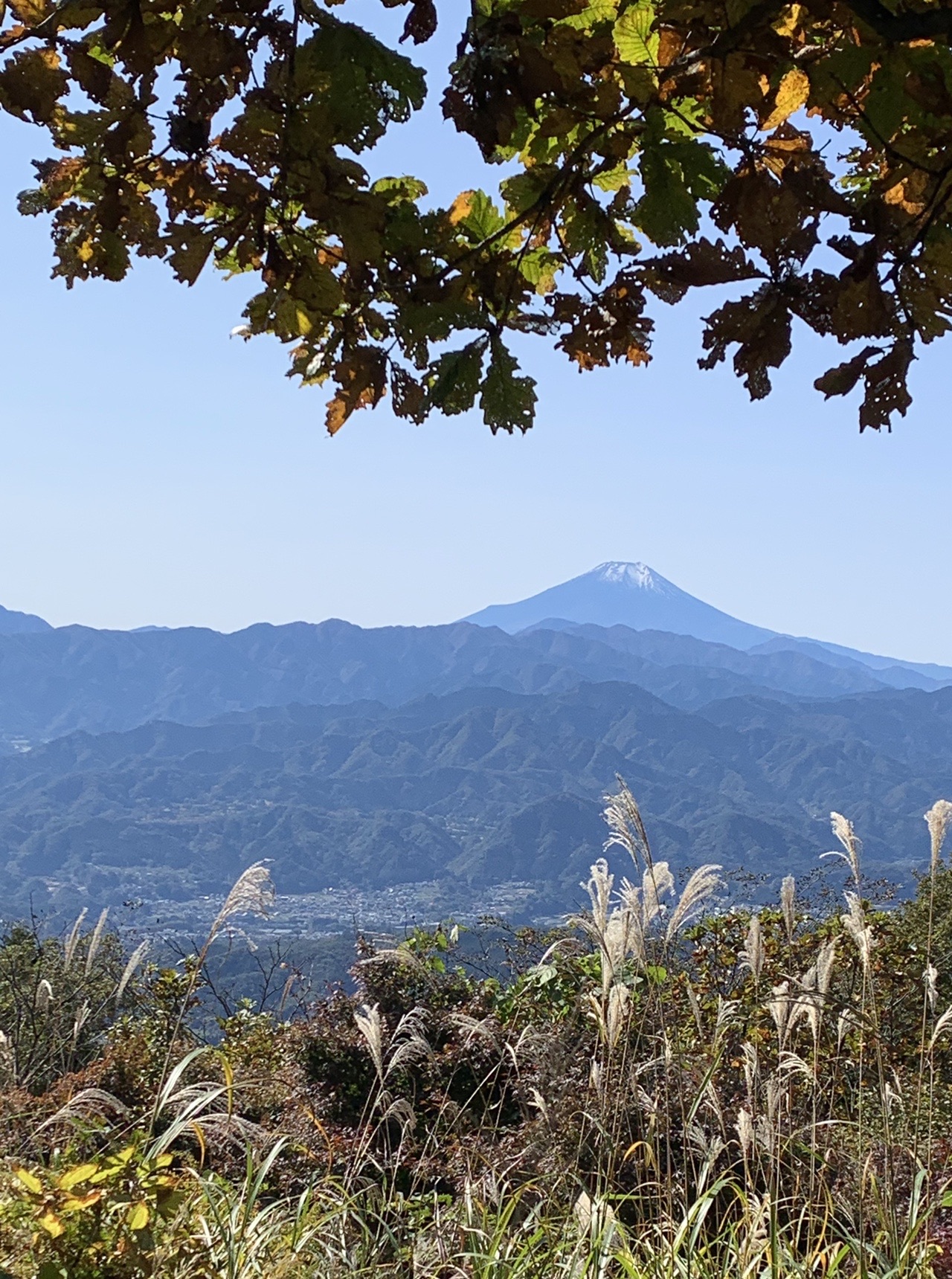 陣馬山 堂所山 景信山 天気に恵まれて みやみやさんの高尾山 陣馬山 景信山の活動データ Yamap ヤマップ