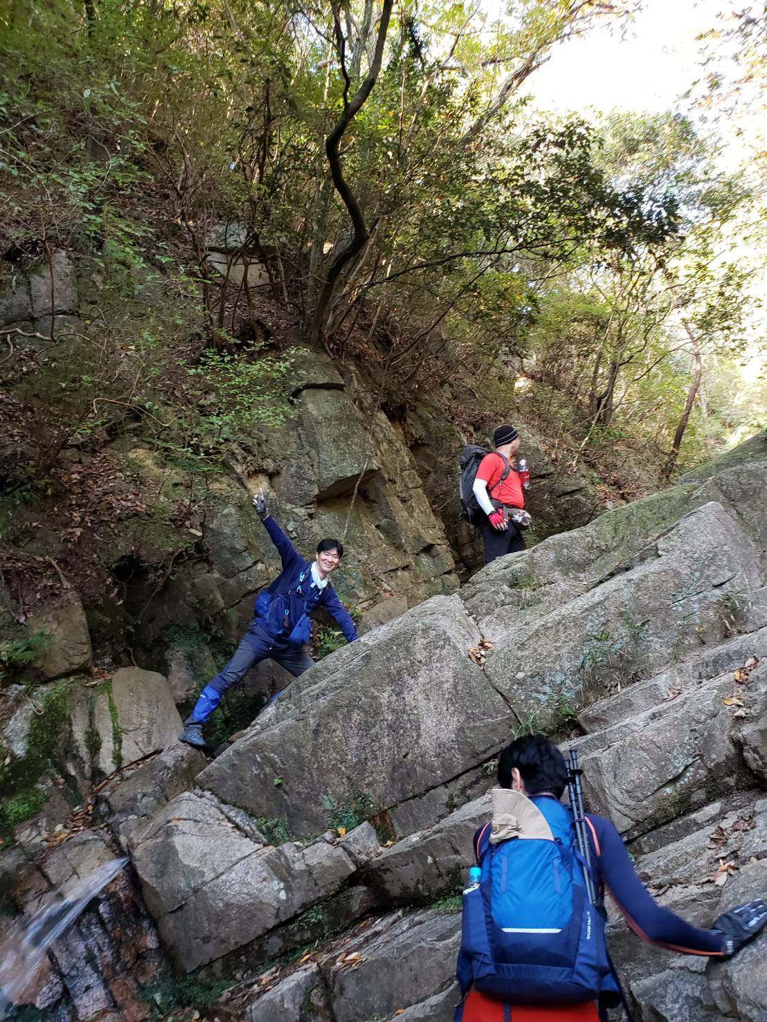 六甲山 恐怖の崖地を越えて O Tolucky ｏ 尸さんの六甲山 長峰山 摩耶山の活動データ Yamap ヤマップ