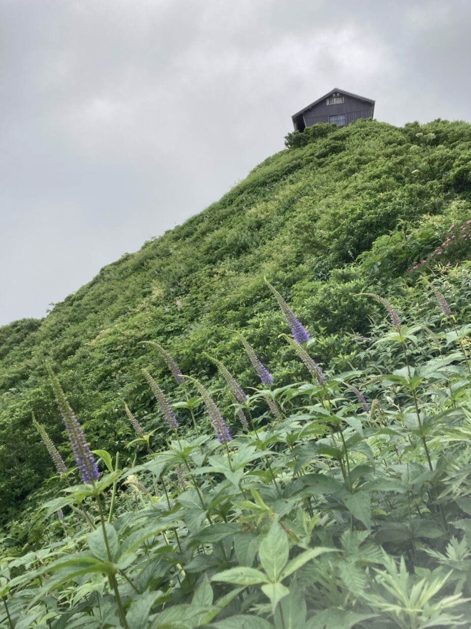 三鈷峰・象ヶ鼻(伯耆大山)　③回目