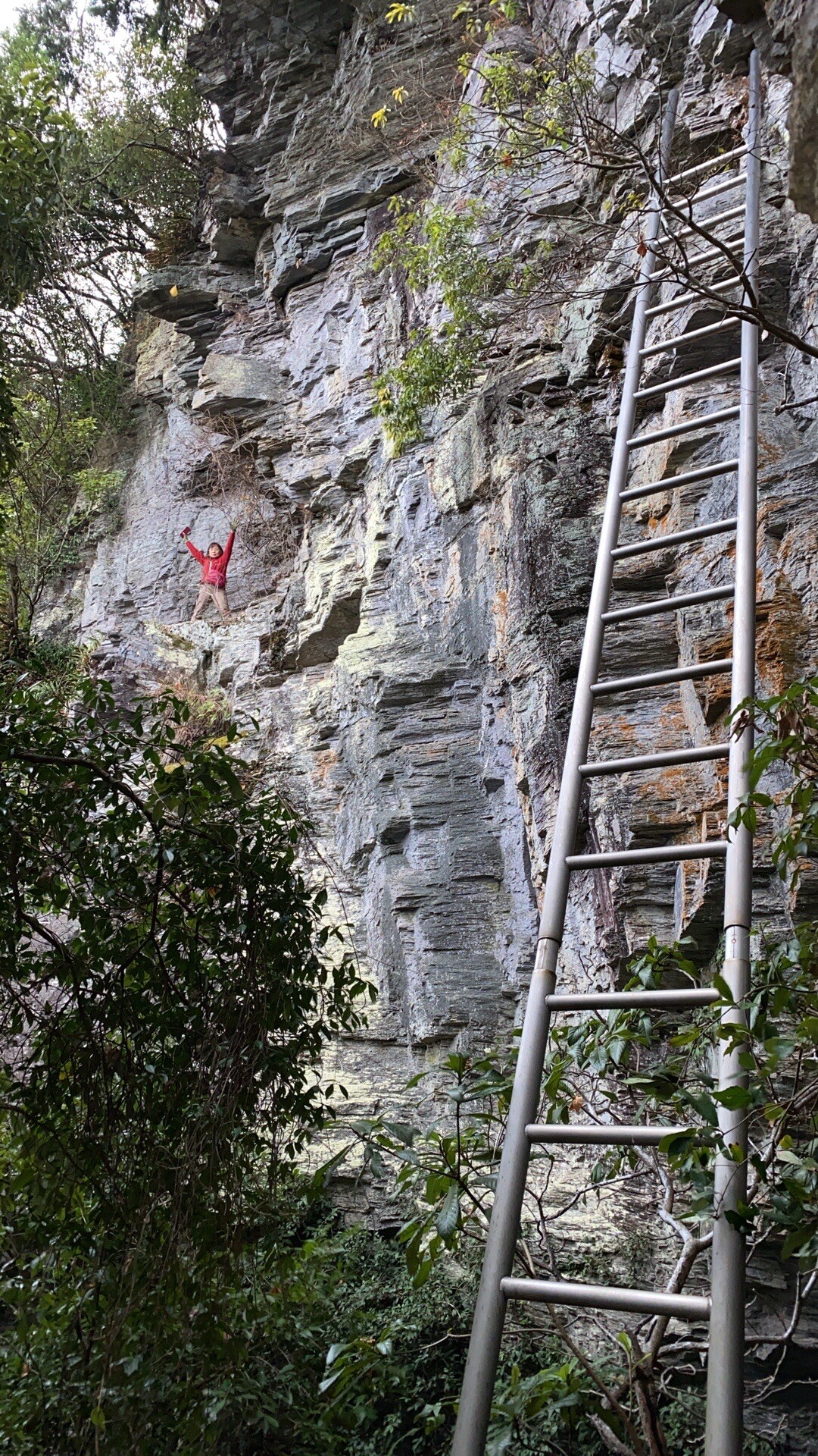 建治寺（ｺﾝｼﾞｼﾞ）の滝＆梯子行場＆鎖行場 / いぶきさんの徳島市の活動データ YAMAP / ヤマップ