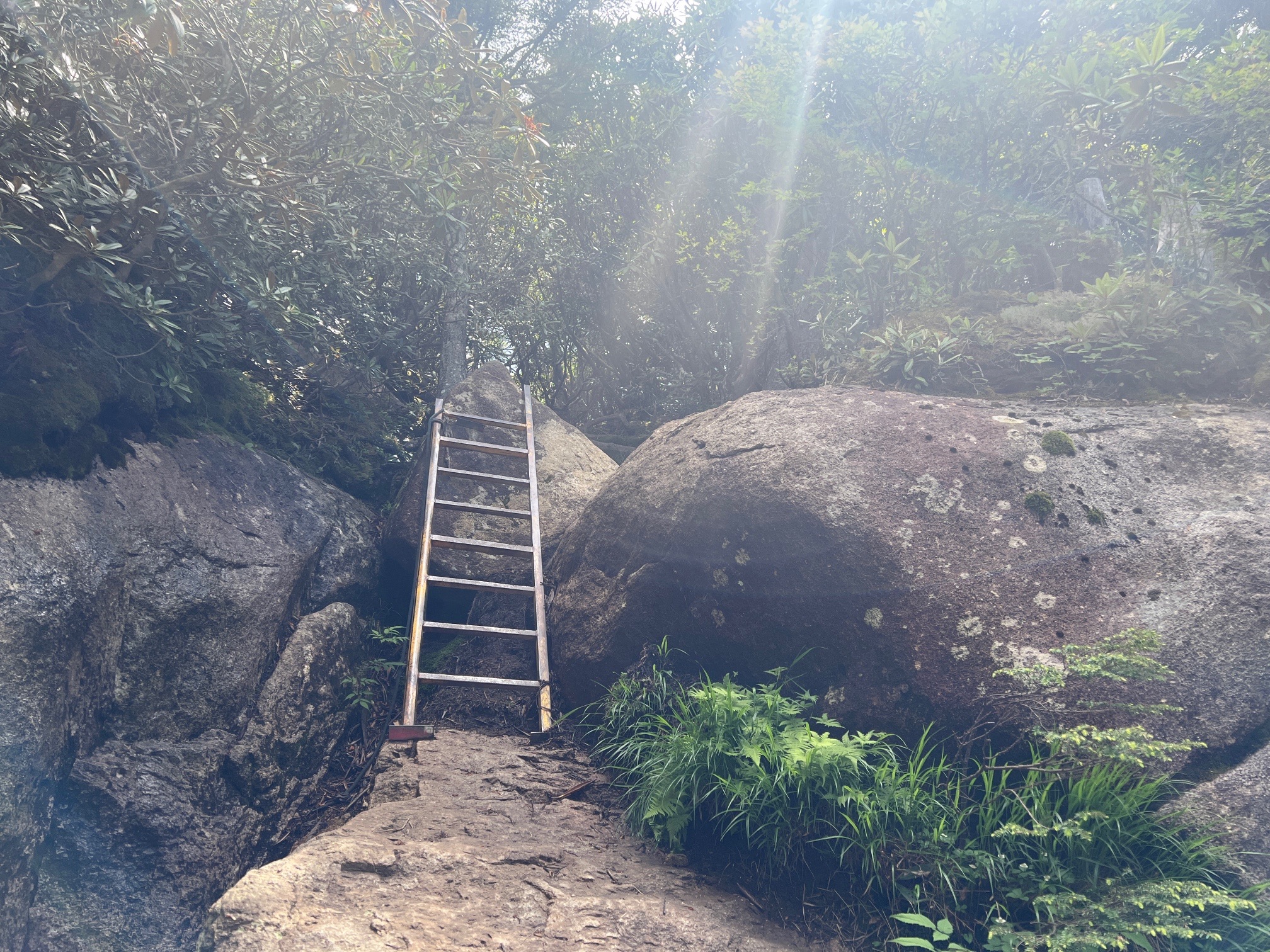 この梯子を超えると