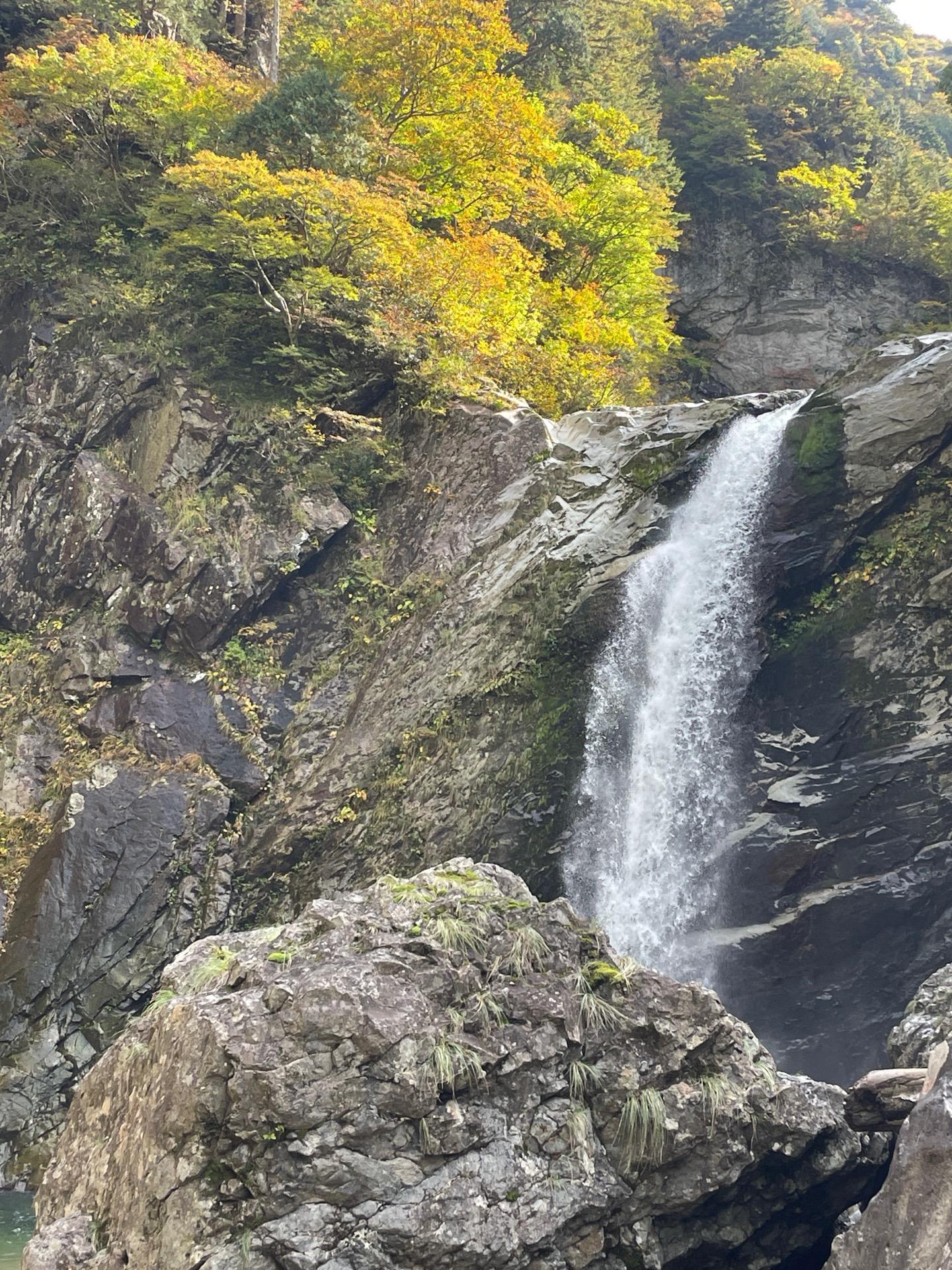 裏巻機渓谷 / pisco_sour_dobleさんの巻機山・割引岳・金城山の活動