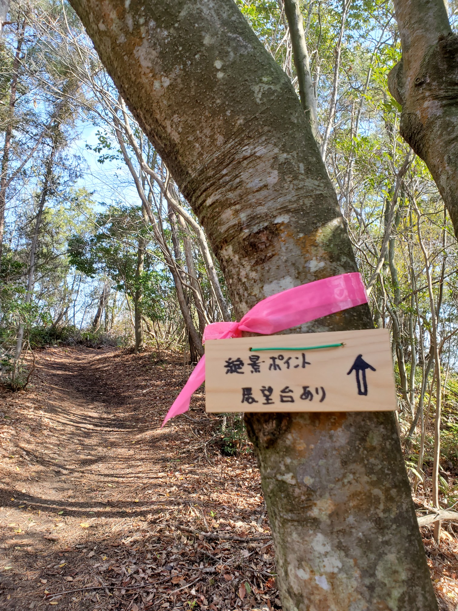 岩国山 平家山 Minaさんの岩国市 岩国エリアの活動データ Yamap ヤマップ