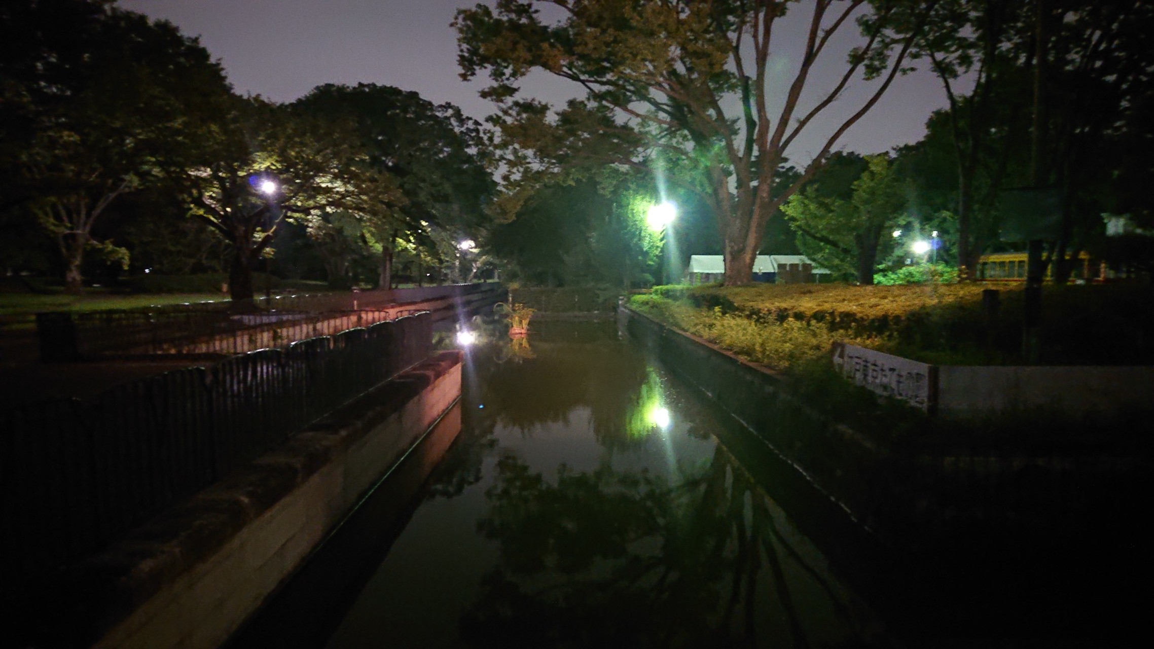 小金井公園をウォーキング 徳マンさんの国分寺市の活動日記 Yamap ヤマップ