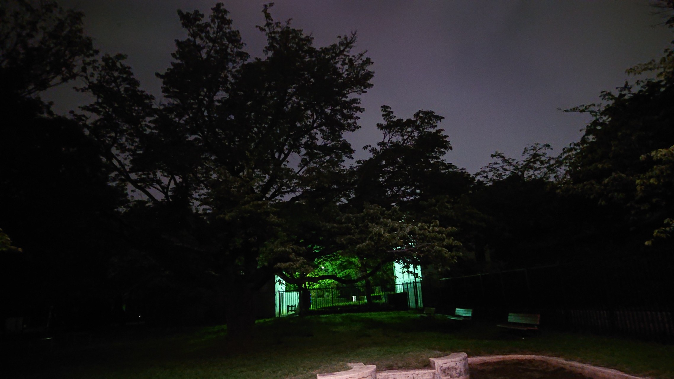 小金井公園をウォーキング 徳マンさんの国分寺市の活動日記 Yamap ヤマップ