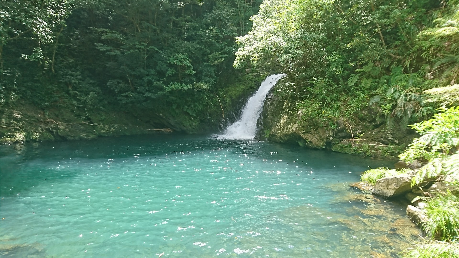 湯湾岳 Sasapanさんの奄美大島 南部の活動日記 Yamap ヤマップ