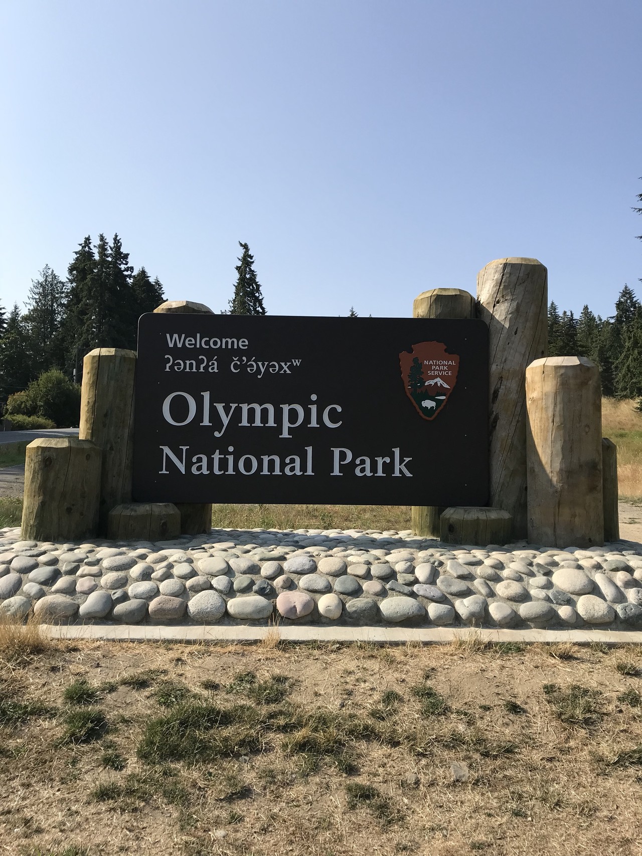 オリンピック国立公園 ハリケーンリッジへ ずおずおむさんのオリンピック国立公園の活動日記 Yamap ヤマップ