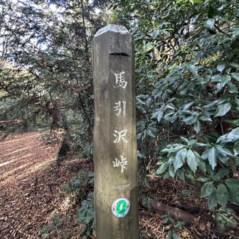 ココからも降りて帰れますが，もー少し行ってグレーピークに寄り道🩶