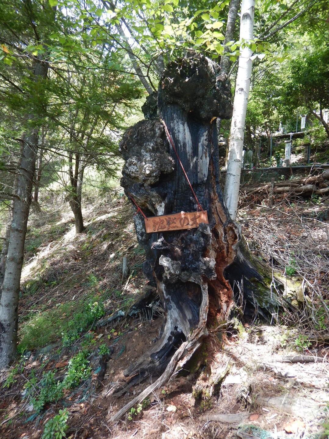 慰霊で御巣鷹の尾根へ Bigbenさんの黒姫山の活動日記 Yamap ヤマップ