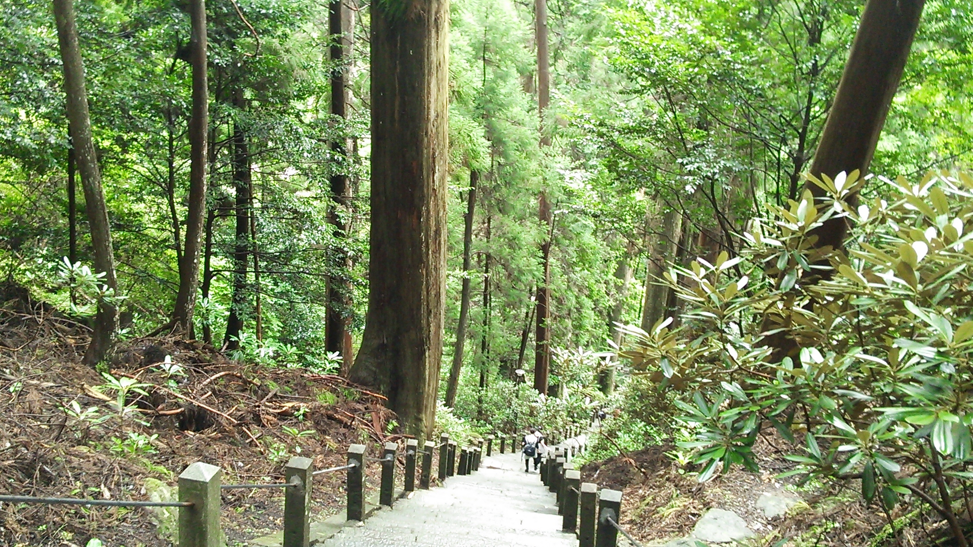 室生寺 奥の院 室生龍穴神社 吉祥龍穴 室生寺バス停 Naoさんの住塚山 兜岳 鎧岳の活動データ Yamap ヤマップ